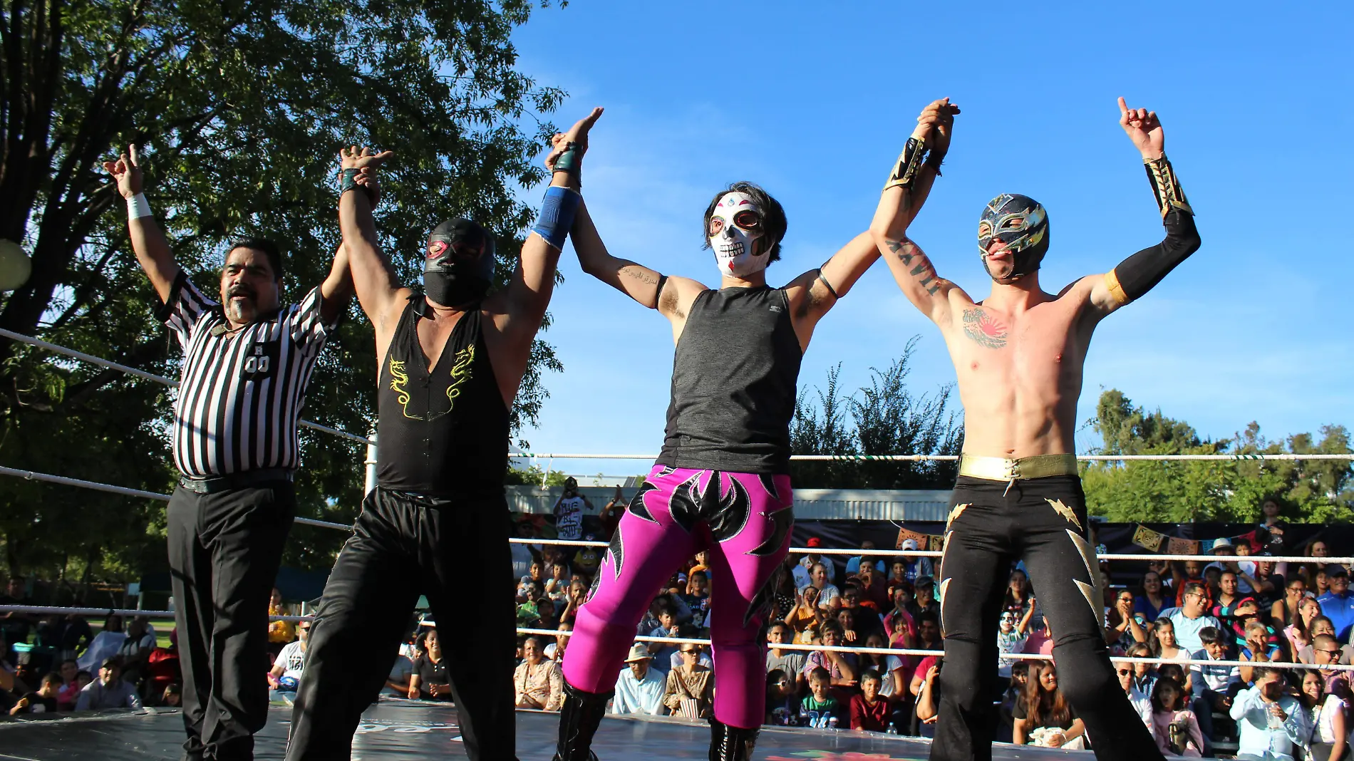 LUCHA LIBRE (1)